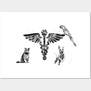 Veterinary Clinic Symbol Posters and Art